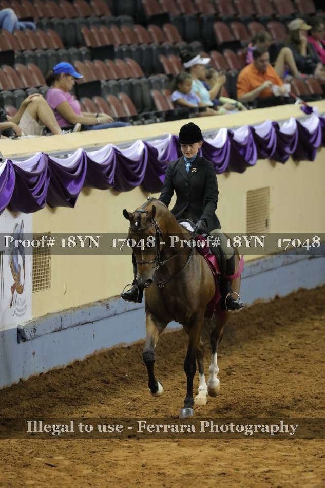 Proof 18YN_17048