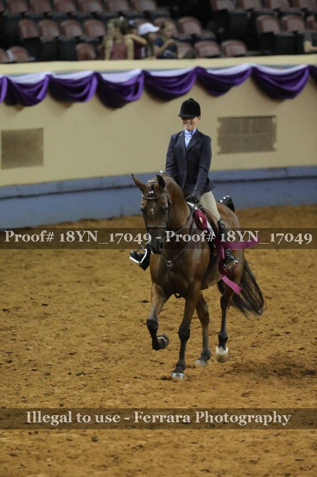 Proof 18YN_17049