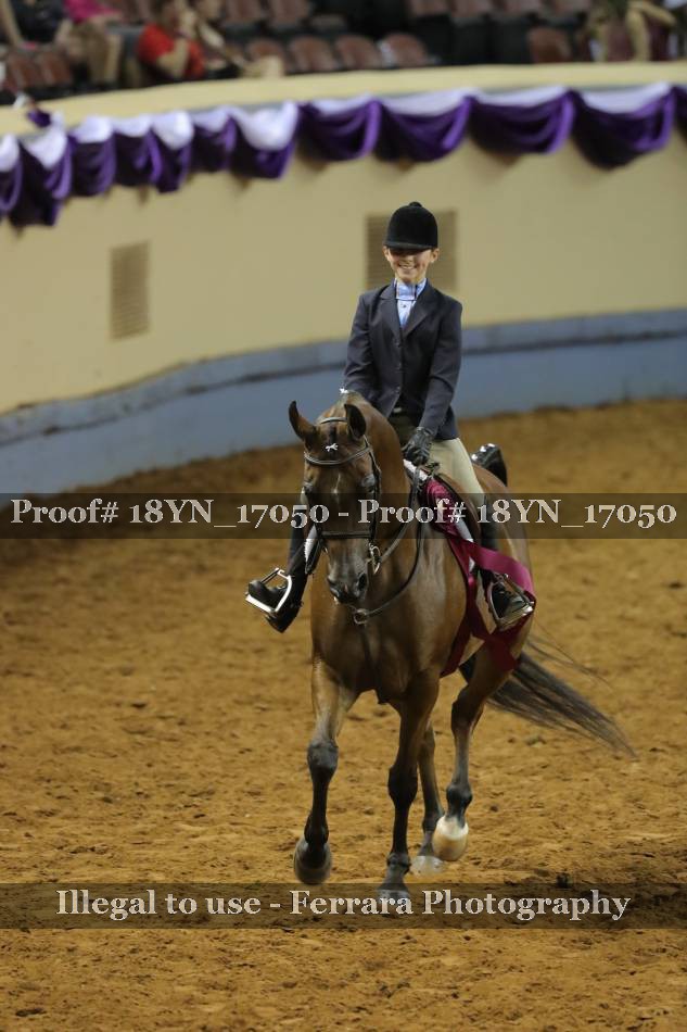 Proof 18YN_17050