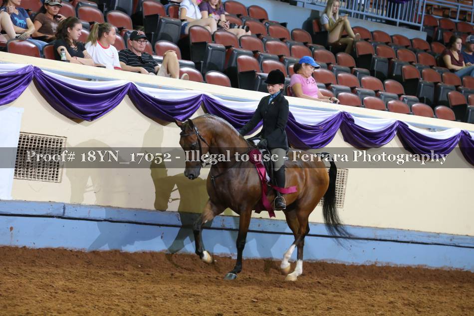 Proof 18YN_17052
