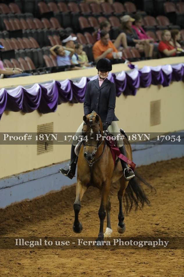 Proof 18YN_17054