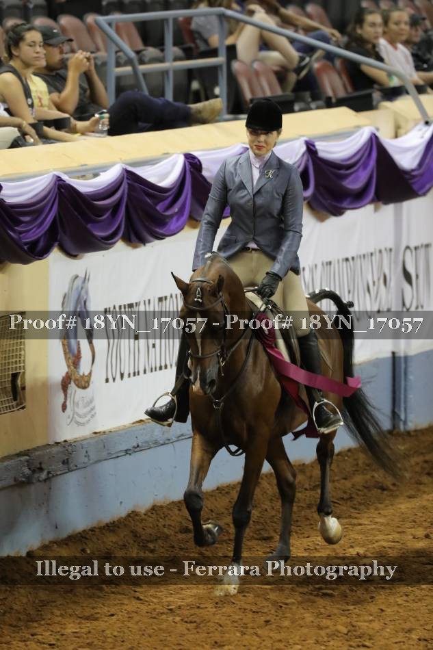 Proof 18YN_17057