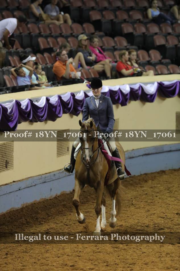 Proof 18YN_17061