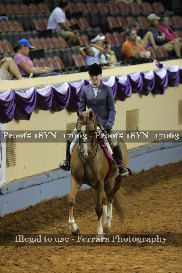 Proof 18YN_17063