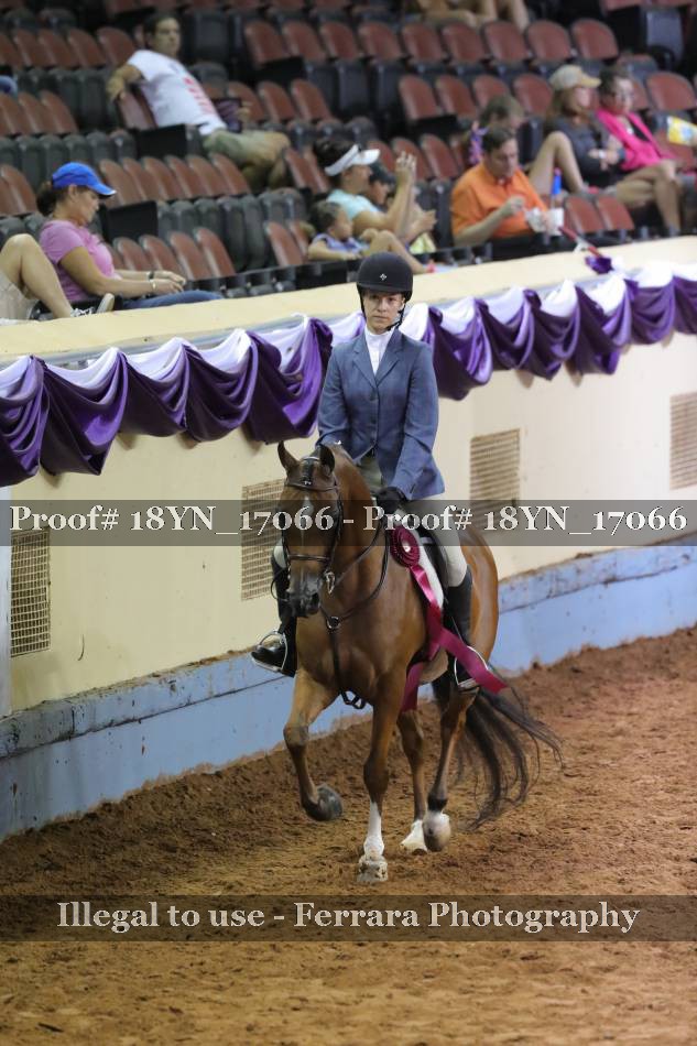 Proof 18YN_17066