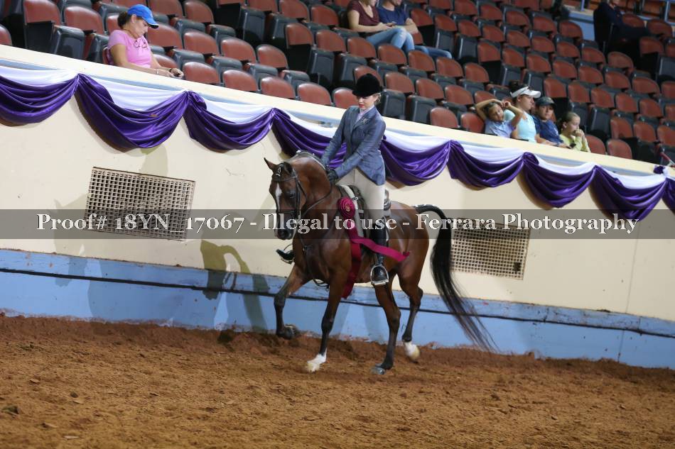 Proof 18YN_17067