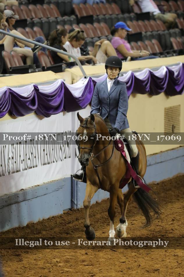 Proof 18YN_17069