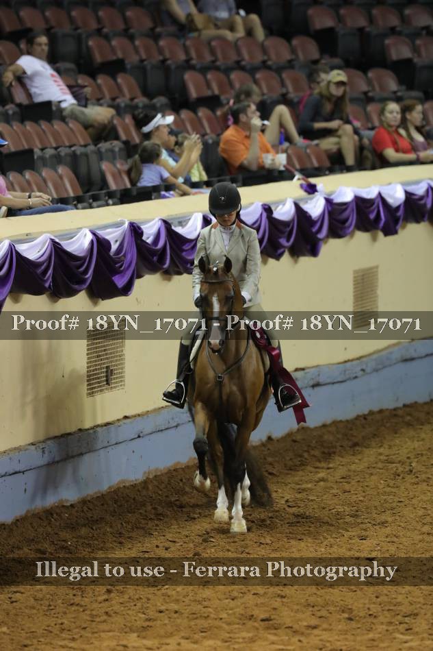 Proof 18YN_17071