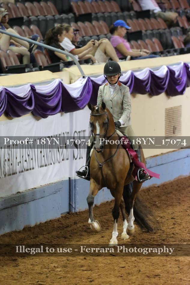 Proof 18YN_17074