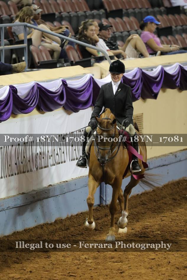 Proof 18YN_17081