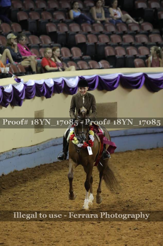 Proof 18YN_17085