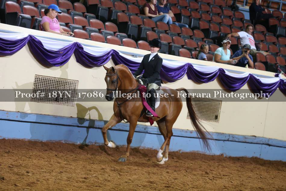 Proof 18YN_17086