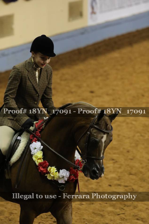 Proof 18YN_17091