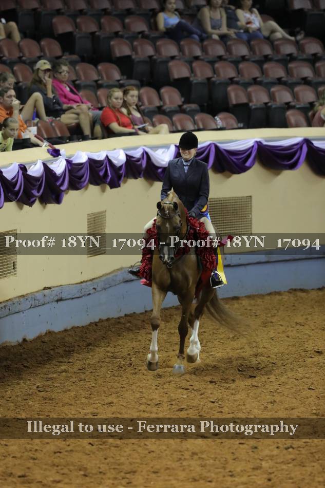 Proof 18YN_17094