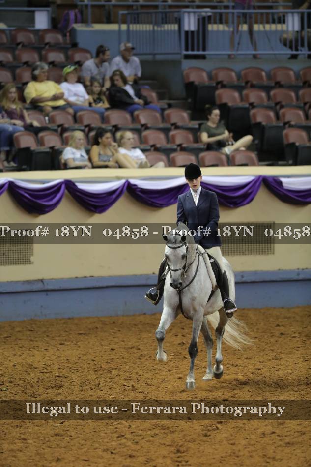 Proof 18YN_04858