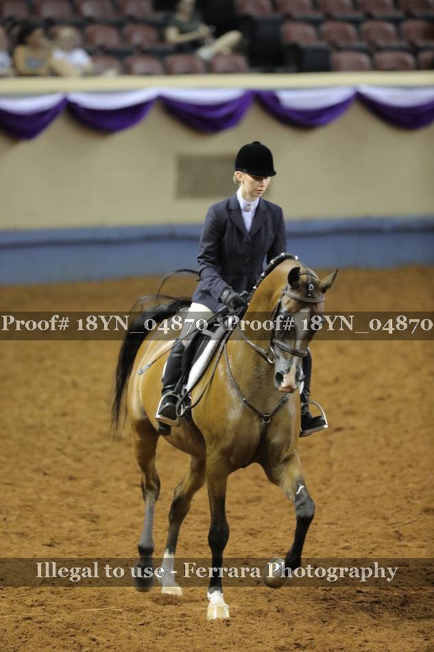 Proof 18YN_04870