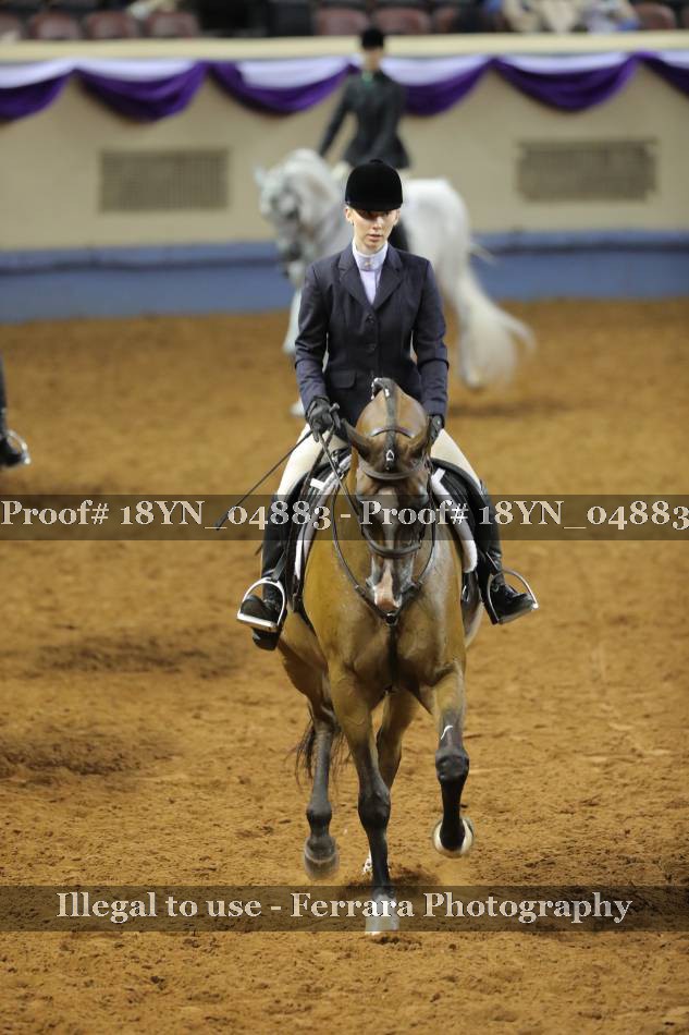 Proof 18YN_04883