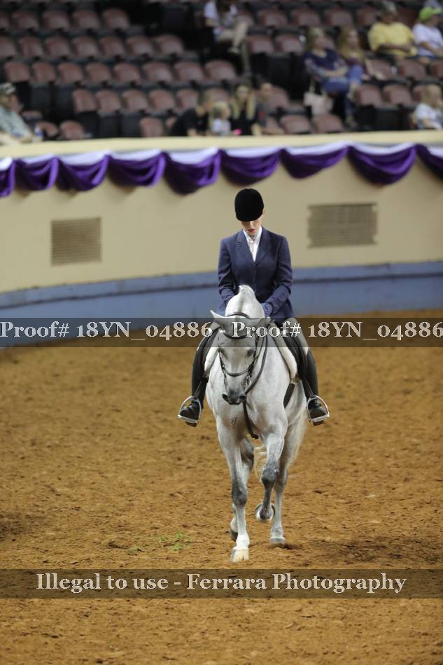 Proof 18YN_04886