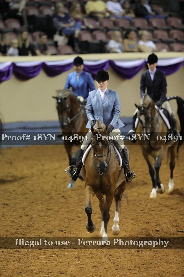 Proof 18YN_04891