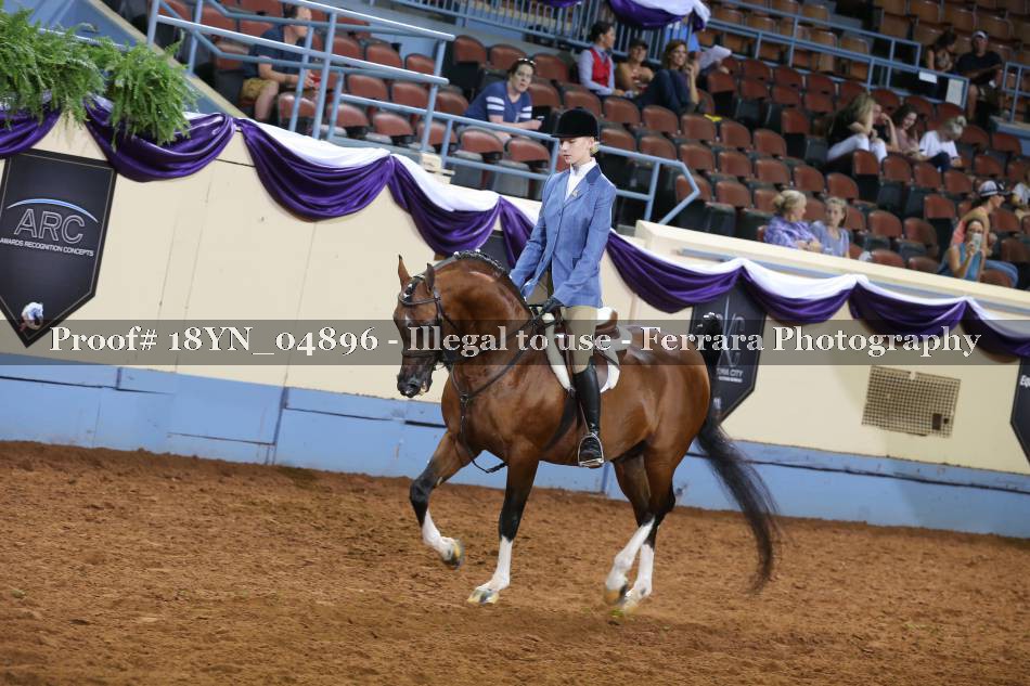 Proof 18YN_04896