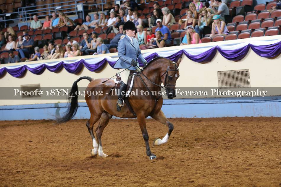 Proof 18YN_04902