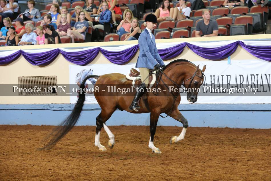 Proof 18YN_04908