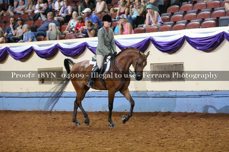 Proof 18YN_04909