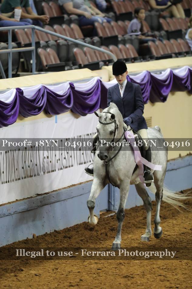 Proof 18YN_04916