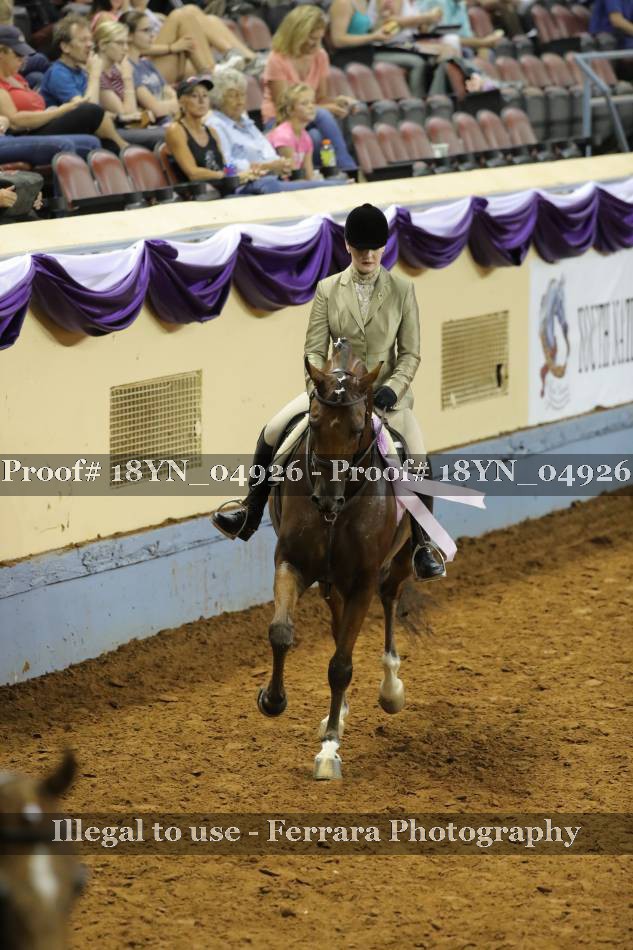 Proof 18YN_04926