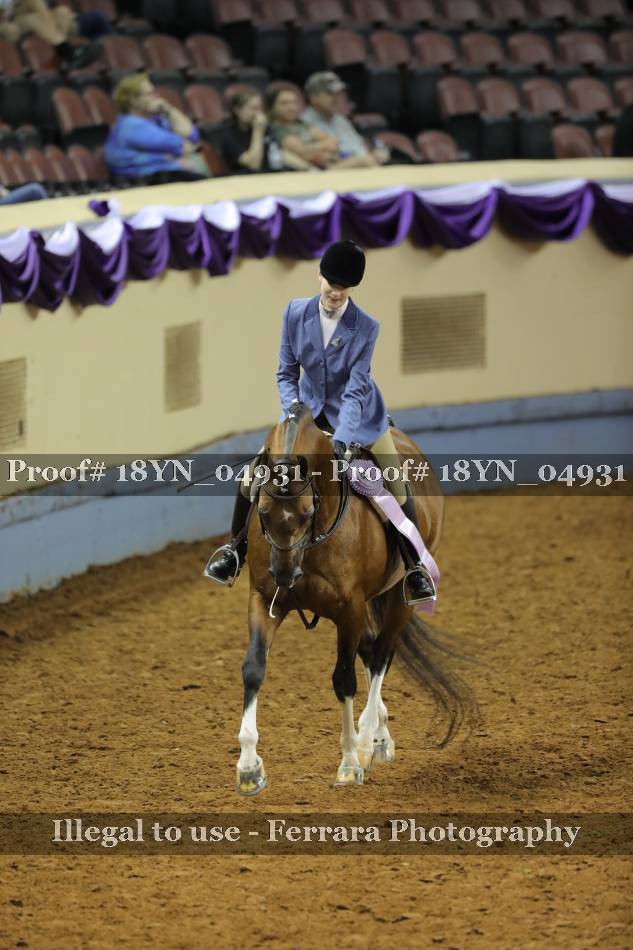 Proof 18YN_04931