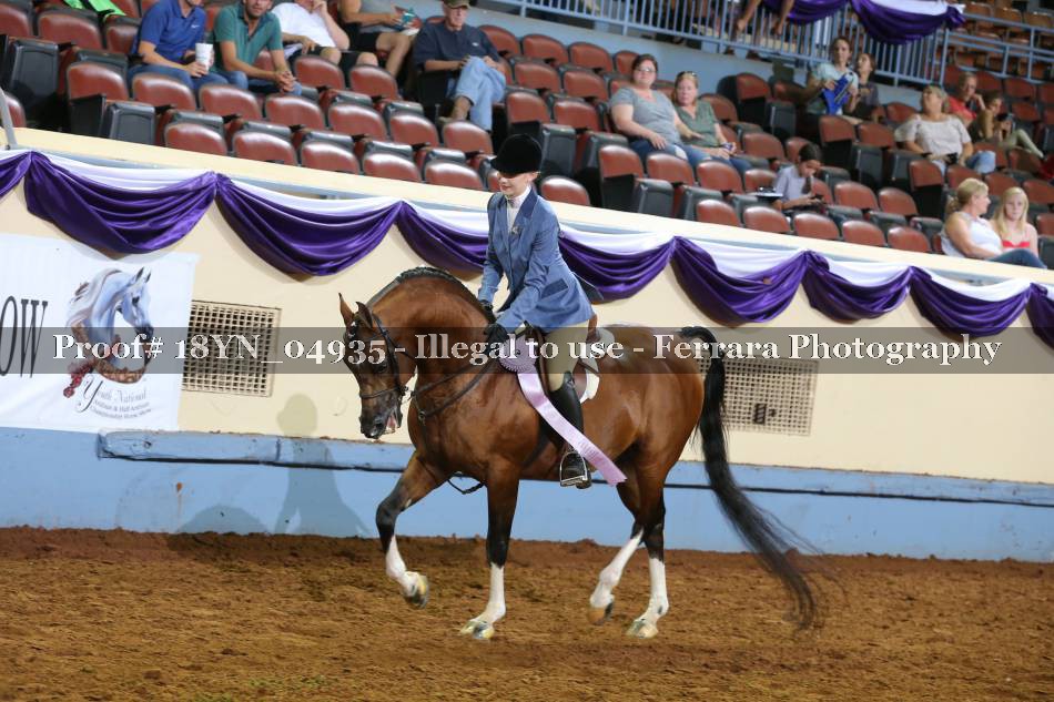 Proof 18YN_04935