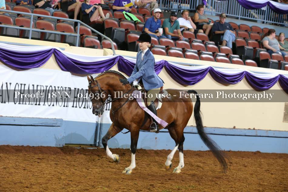 Proof 18YN_04936