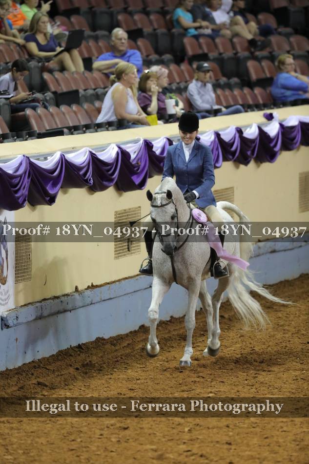 Proof 18YN_04937