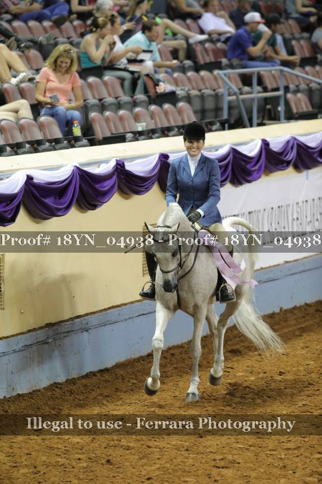 Proof 18YN_04938