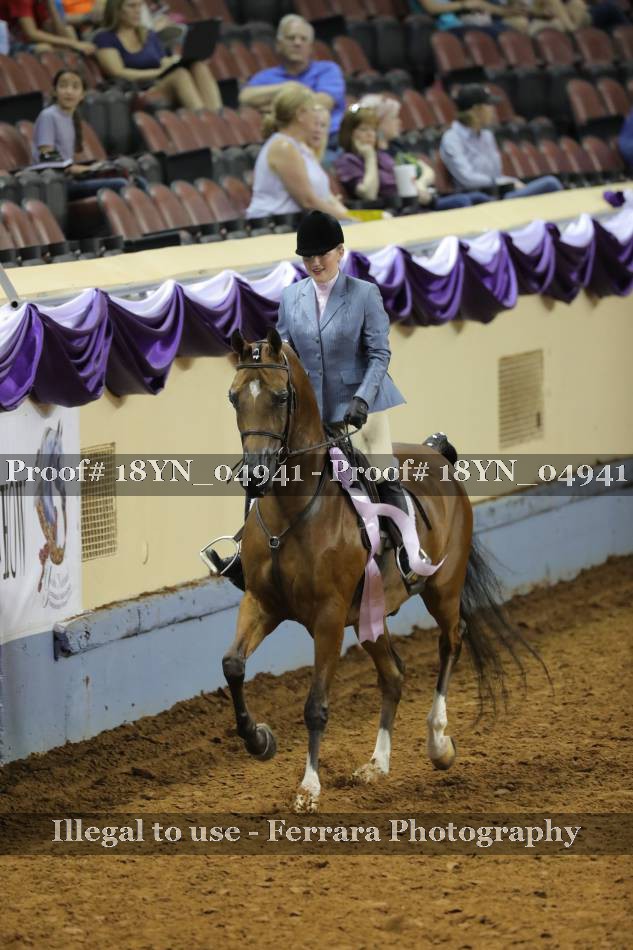 Proof 18YN_04941