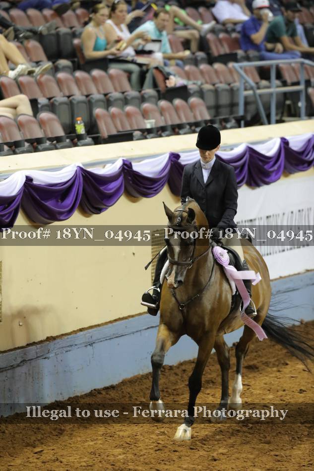 Proof 18YN_04945