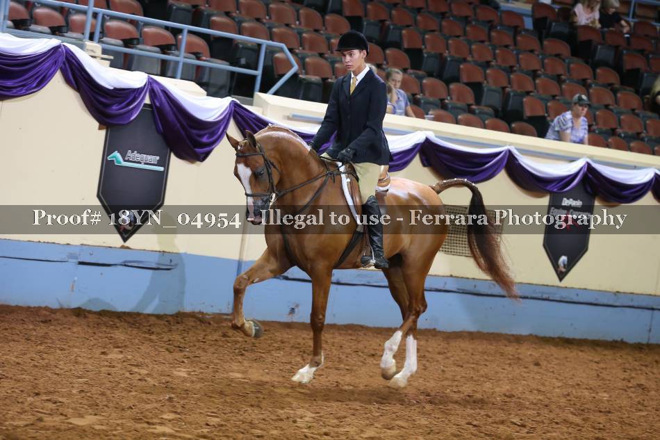 Proof 18YN_04954
