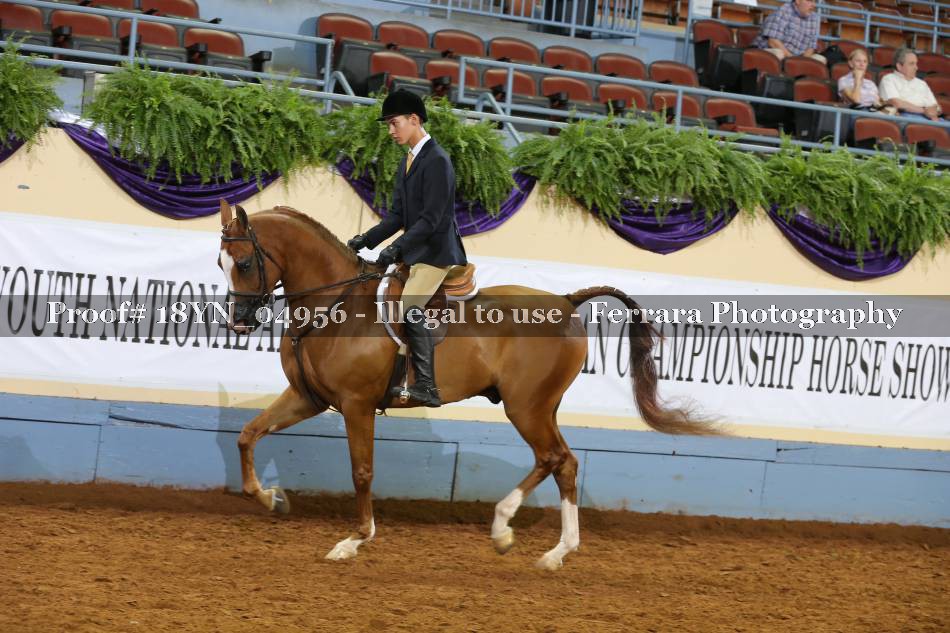 Proof 18YN_04956
