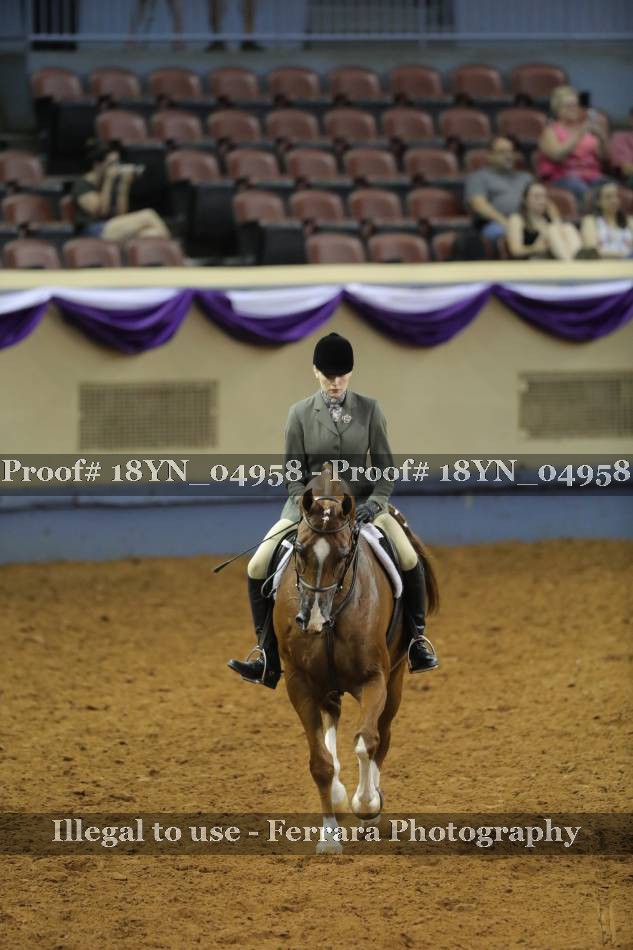 Proof 18YN_04958