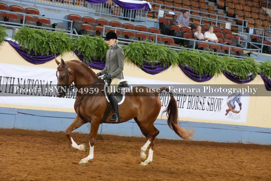Proof 18YN_04959
