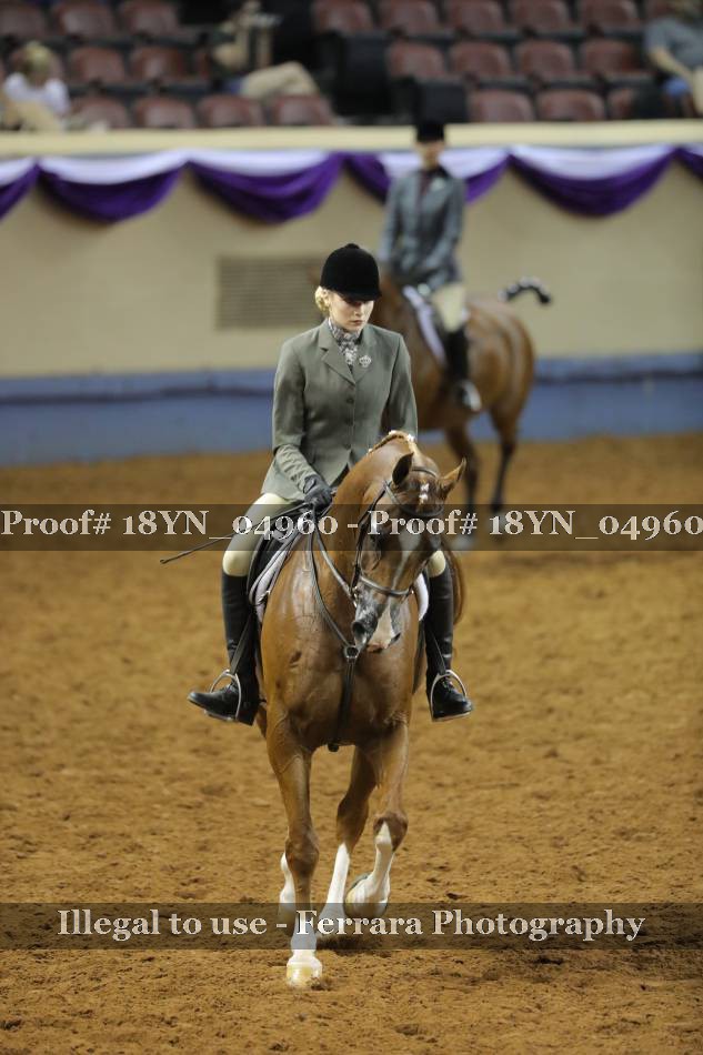 Proof 18YN_04960