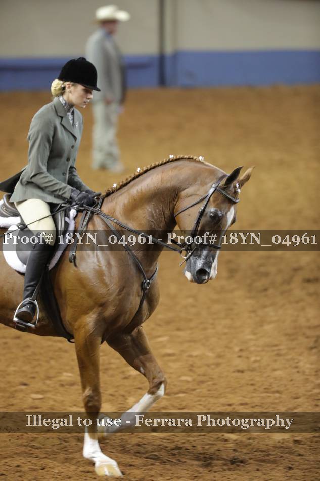 Proof 18YN_04961