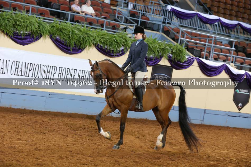 Proof 18YN_04962