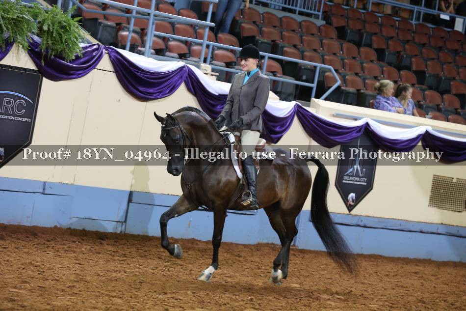 Proof 18YN_04964