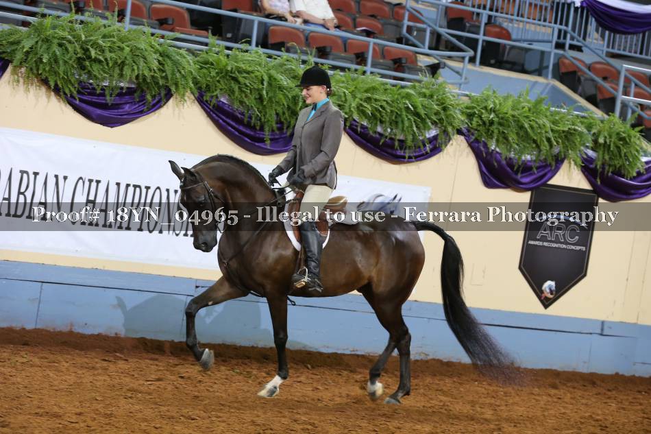 Proof 18YN_04965