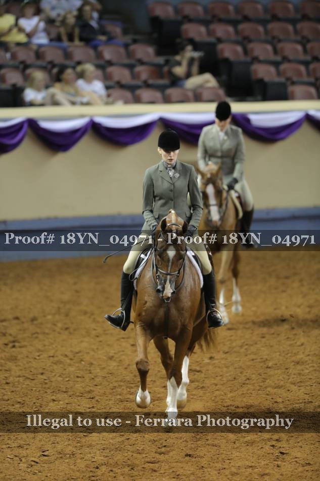 Proof 18YN_04971