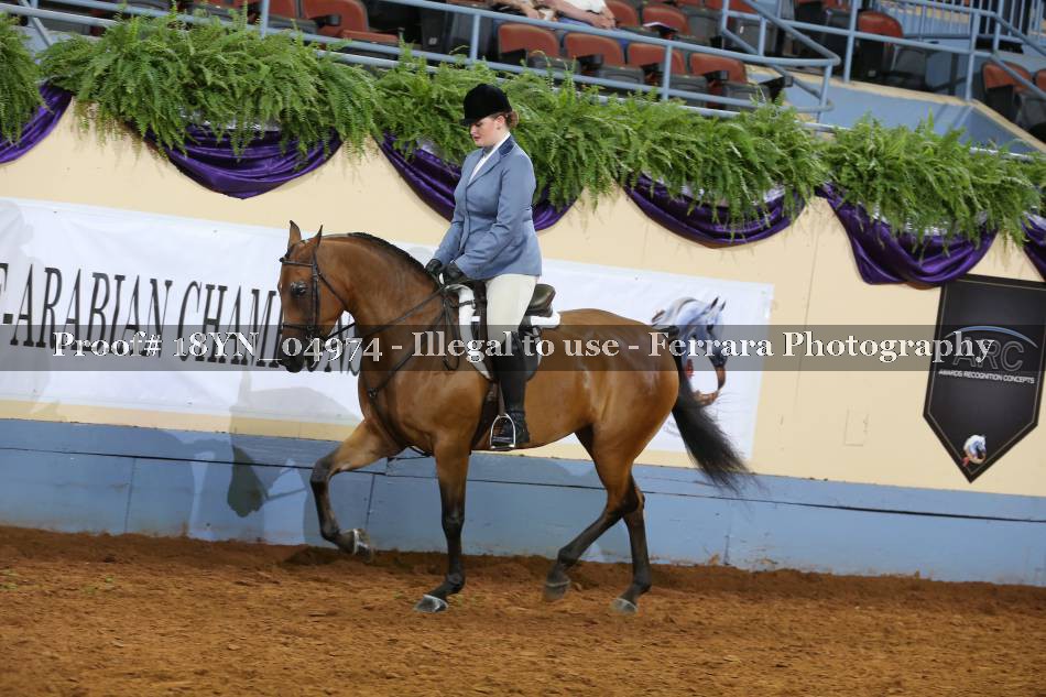 Proof 18YN_04974