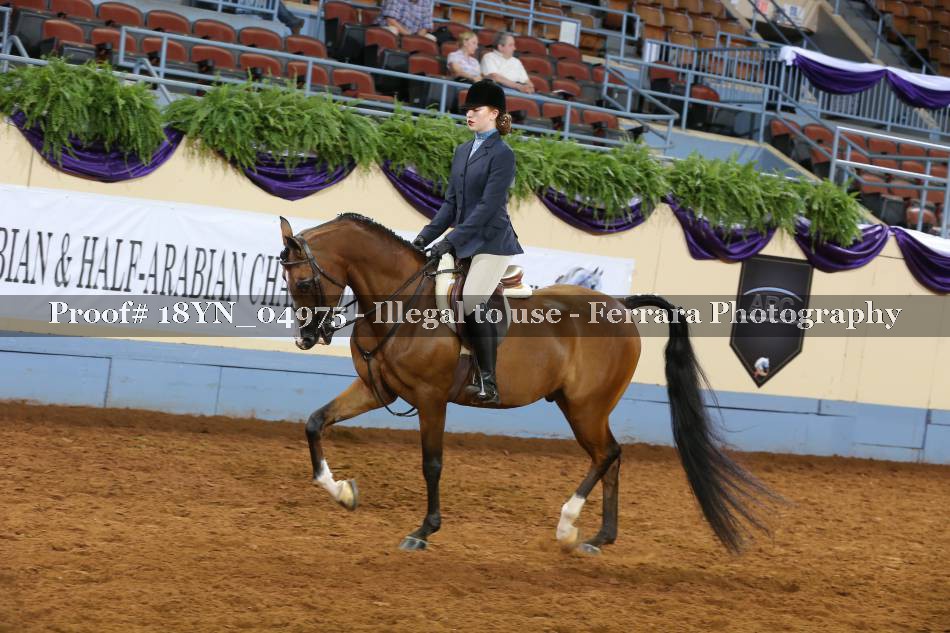 Proof 18YN_04975