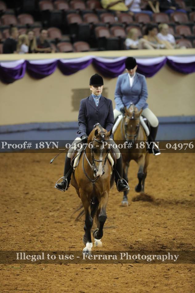 Proof 18YN_04976