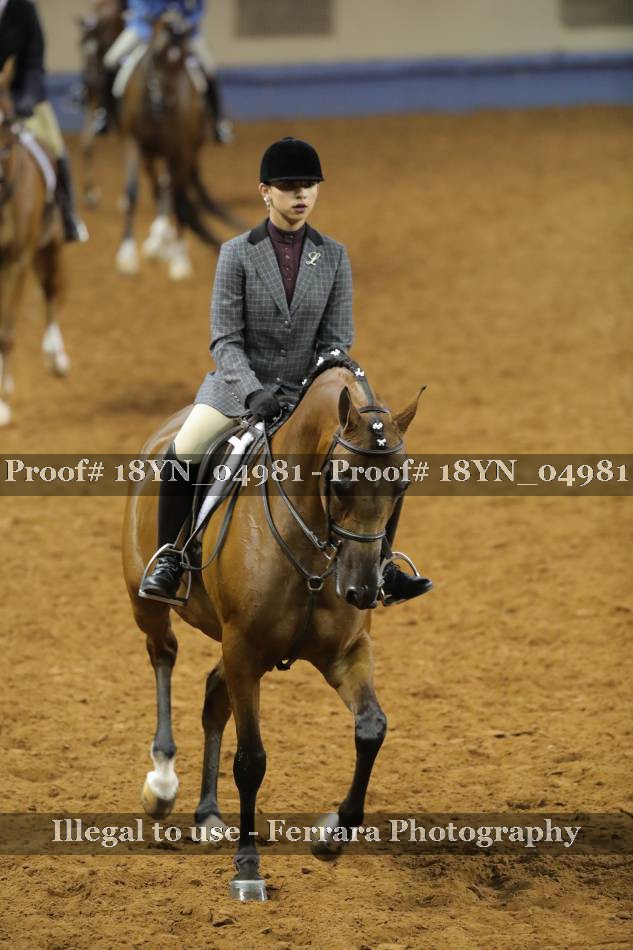 Proof 18YN_04981